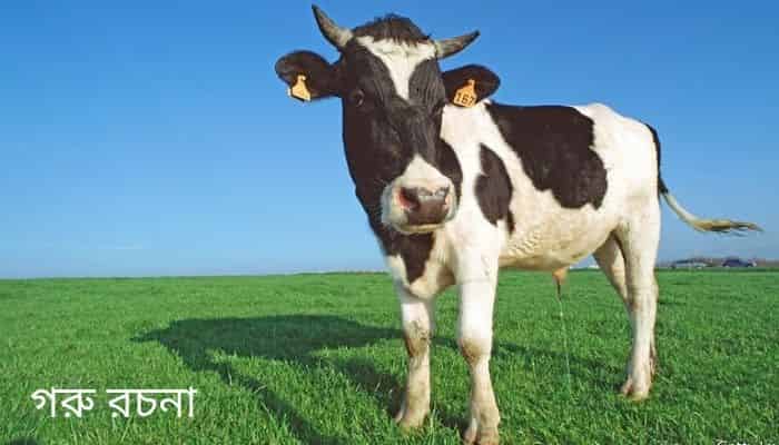 Cow paragraph in Bengali language