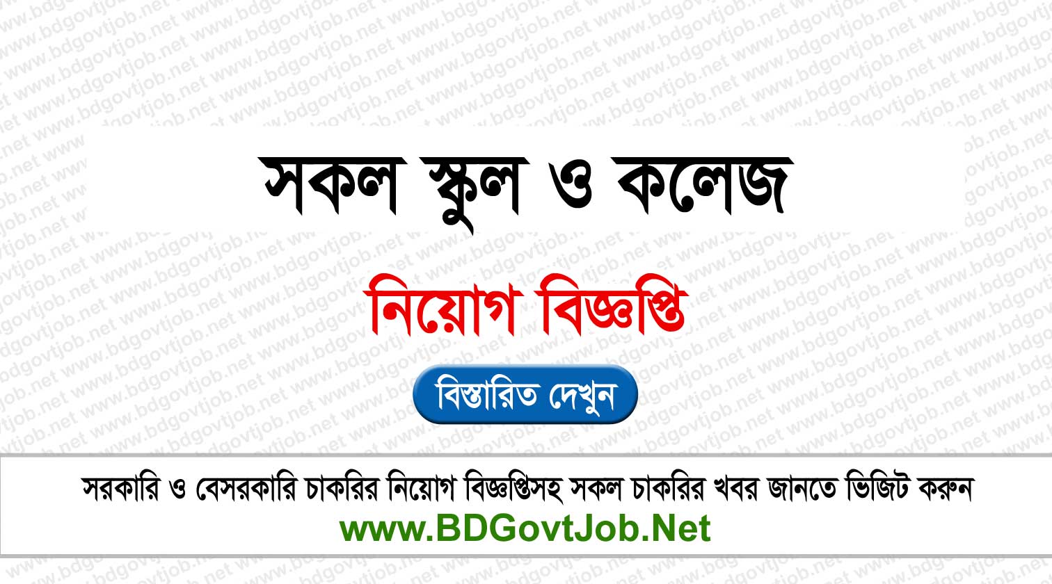 All School and College Job Circular in Bangladesh